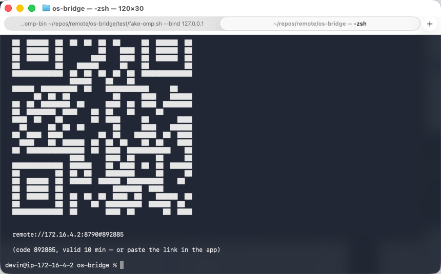 The installer prints a real QR and pairing code in the terminal